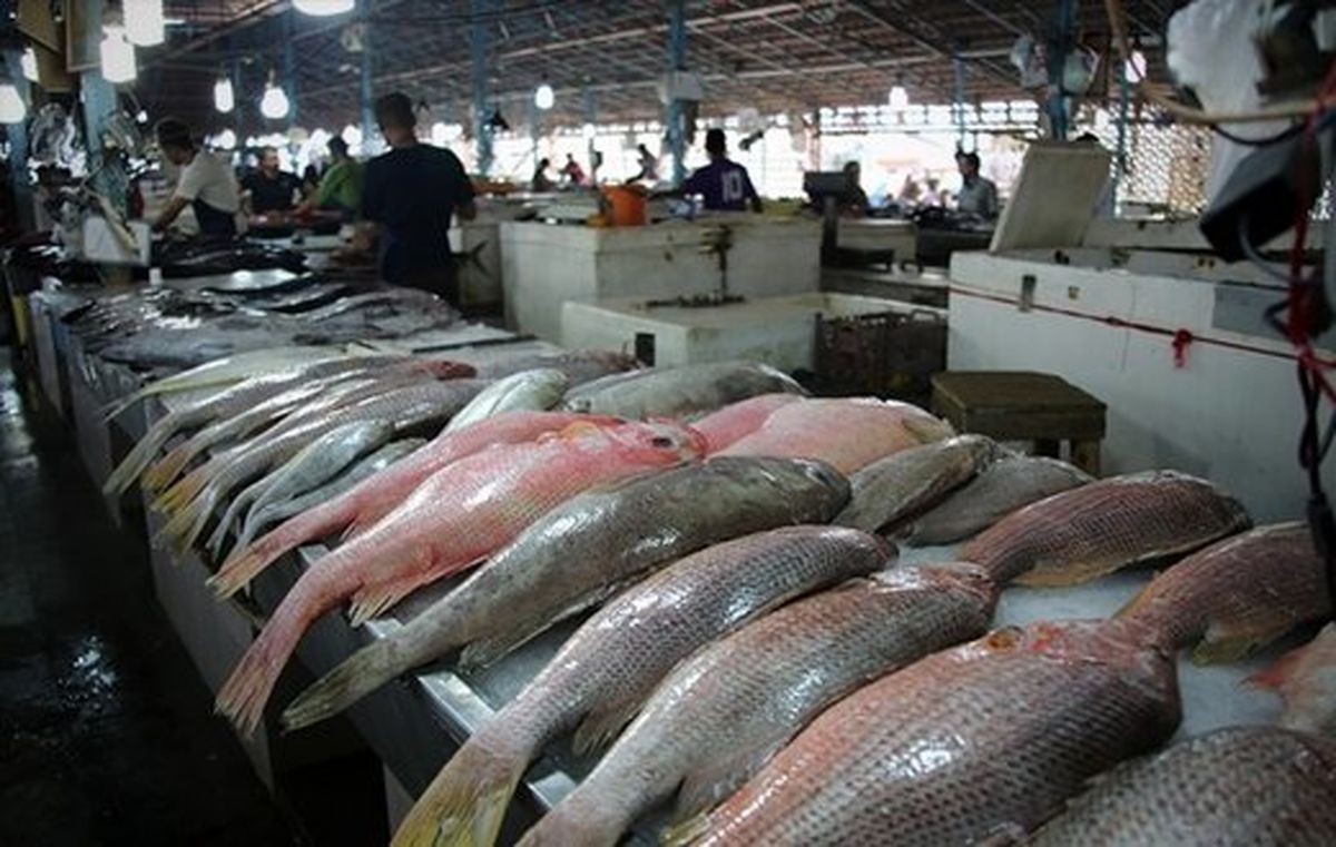 قیمتهای نجومی ماهی در بازار/ جدول