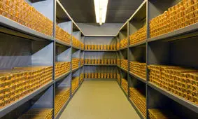 قیمت جهانی طلا رشد کرد