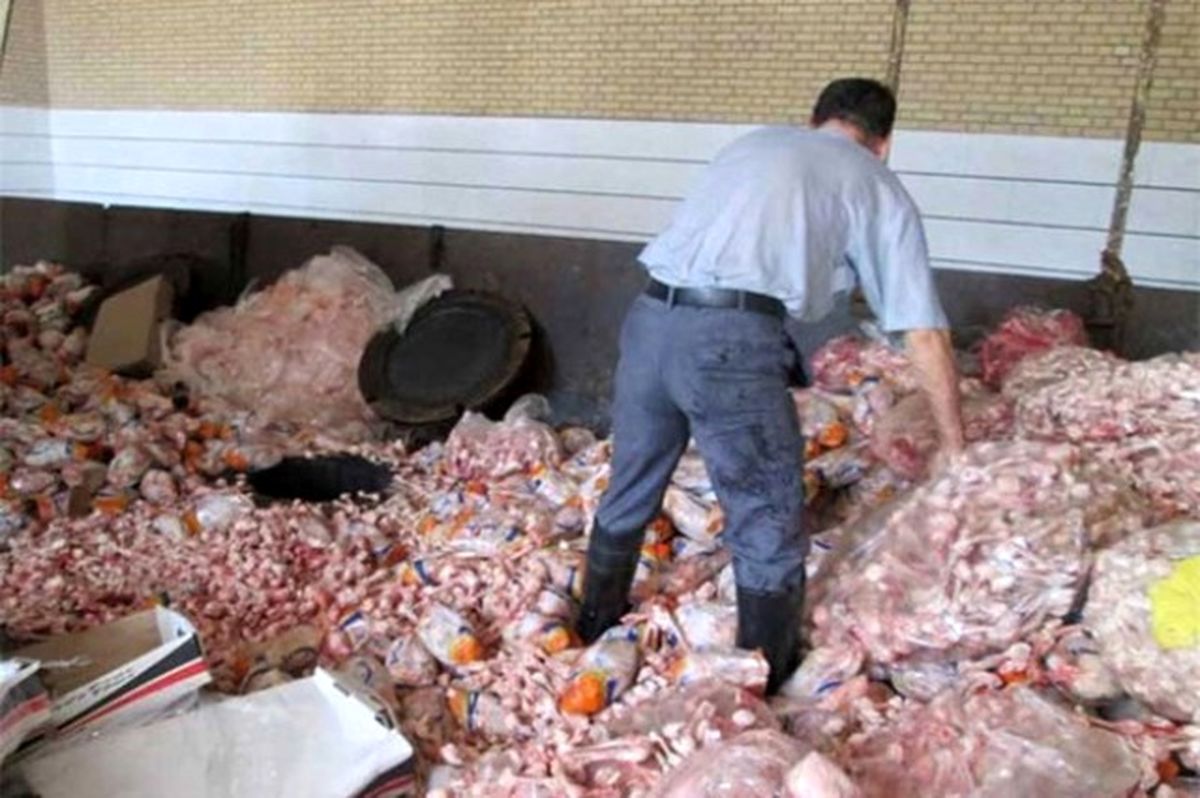 ۱۵ تن پای مرغ غیربهداشتی در دلیجان معدوم شد