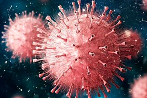 سویه جدید کروناویروس در هند/ «کاپا» خطرناک است؟