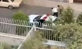 رفتار غیرحرفه‌ای مامور با صاحب سگ در دست بررسی است