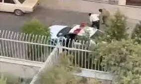 رفتار غیرحرفه‌ای مامور با صاحب سگ در دست بررسی است