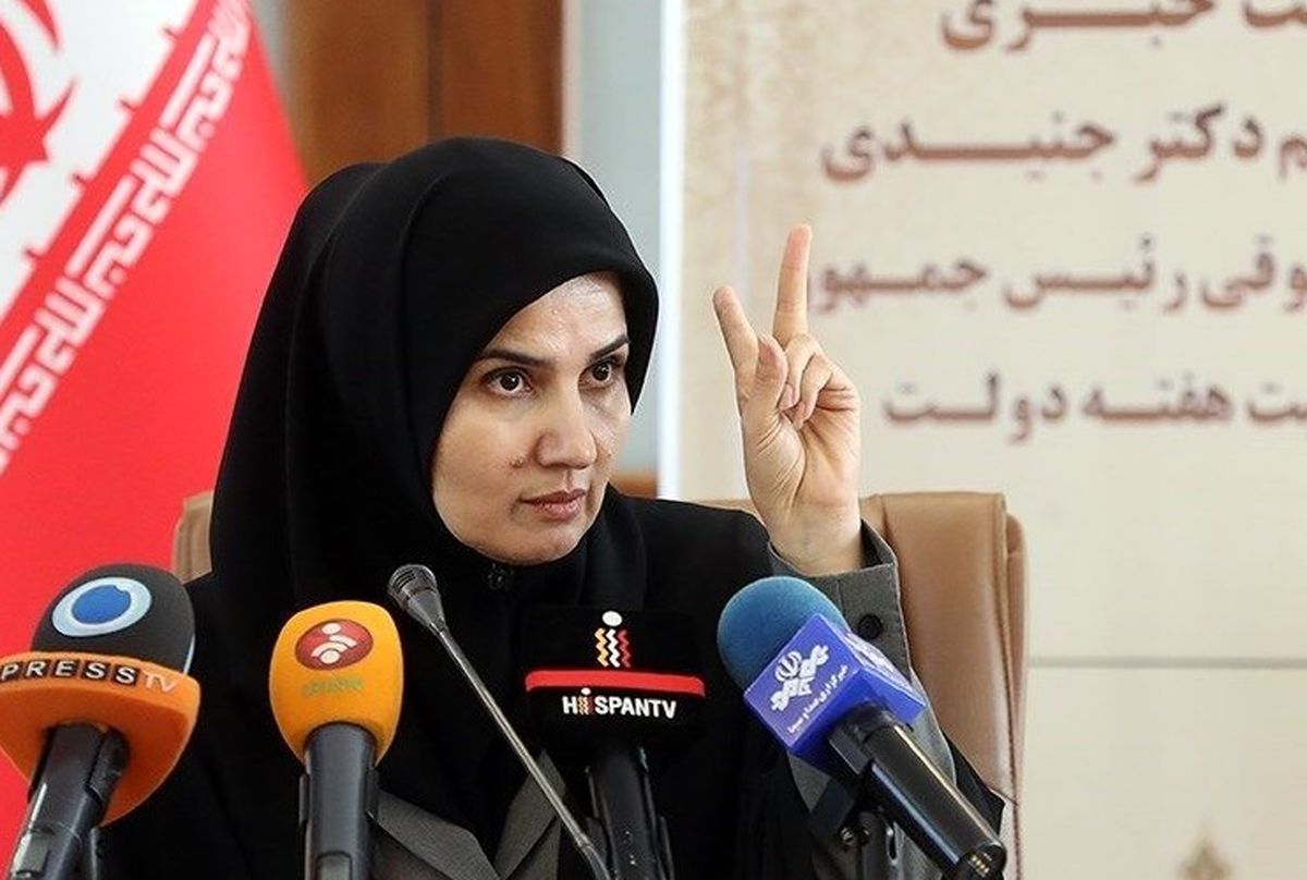 جنیدی: پاسخها درباره FATF به مجلس فرستاده شده بود/ میتوانستند جلسه را تجدید کنند