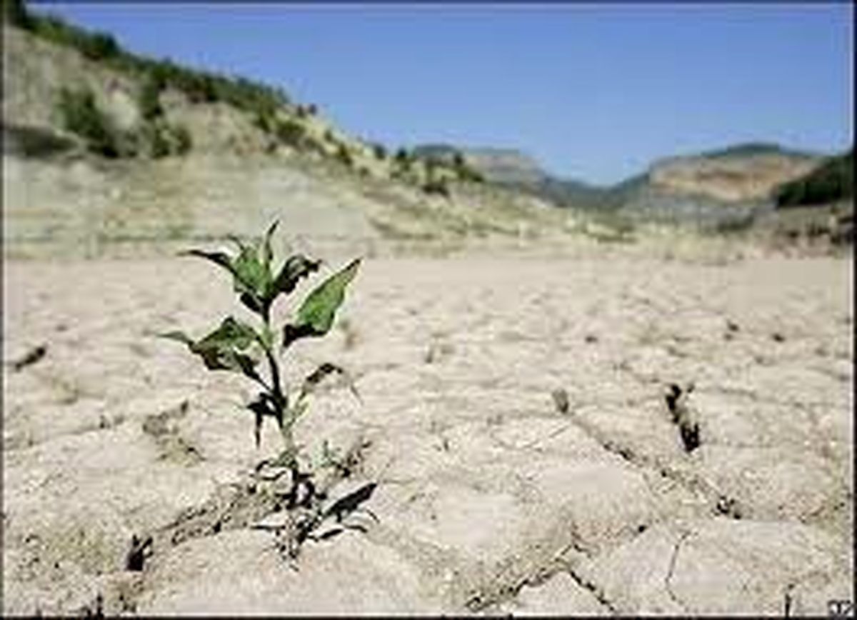 یکی از شدیدترین دوران خشکسالی در ایران را شاهدیم/ چرا با وجود بحران آب به فکر کاشت برنج در مرکز کشور هستیم؟
