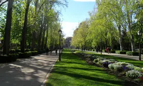 اجرای طرح شهید سلیمانی در پارک‌ های خراسان جنوبی