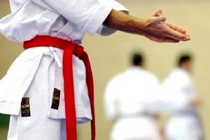دعوت از ۱۰۶ کاراته کا به اردوی تیم های ملی