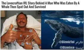 نجات از دهان نهنگ!