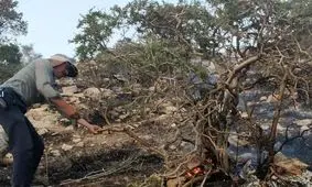 مهار آتش‌ سوزی سفیدکوه خرم‌آباد