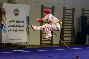 دختران تهران، فاتح رقابتهای ووشوی قهرمانی کشور شدند