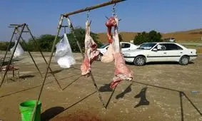 کشتار غیرمجاز دام در کهگیلویه و بویراحمد همچنان وجود دارد