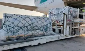 بیش از یک میلیون و ۱۳۱ هزار دز واکسن کرونا توسط هلال احمر وارد کشور شد/ آمادگی این جمعیت برای واردات ۳۰ میلیون دز دیگر