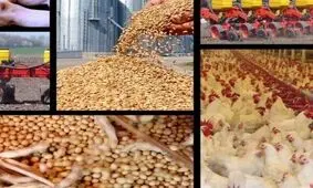 بدعهدی وزیر جهاد در جلوگیری از خام فروشی نهاده ها