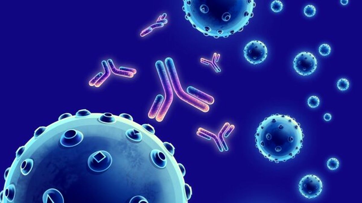 پادتن هایی که نوروویروس ها را خنثی می کنند