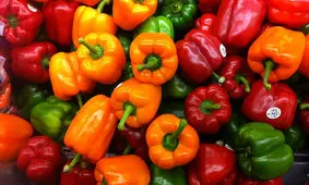 ۱۱۵ روز در یک دقیقه!/ ویدئو