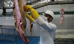 کشتارگاه‌ های دام سیستان و بلوچستان روز عید قربان فعال است