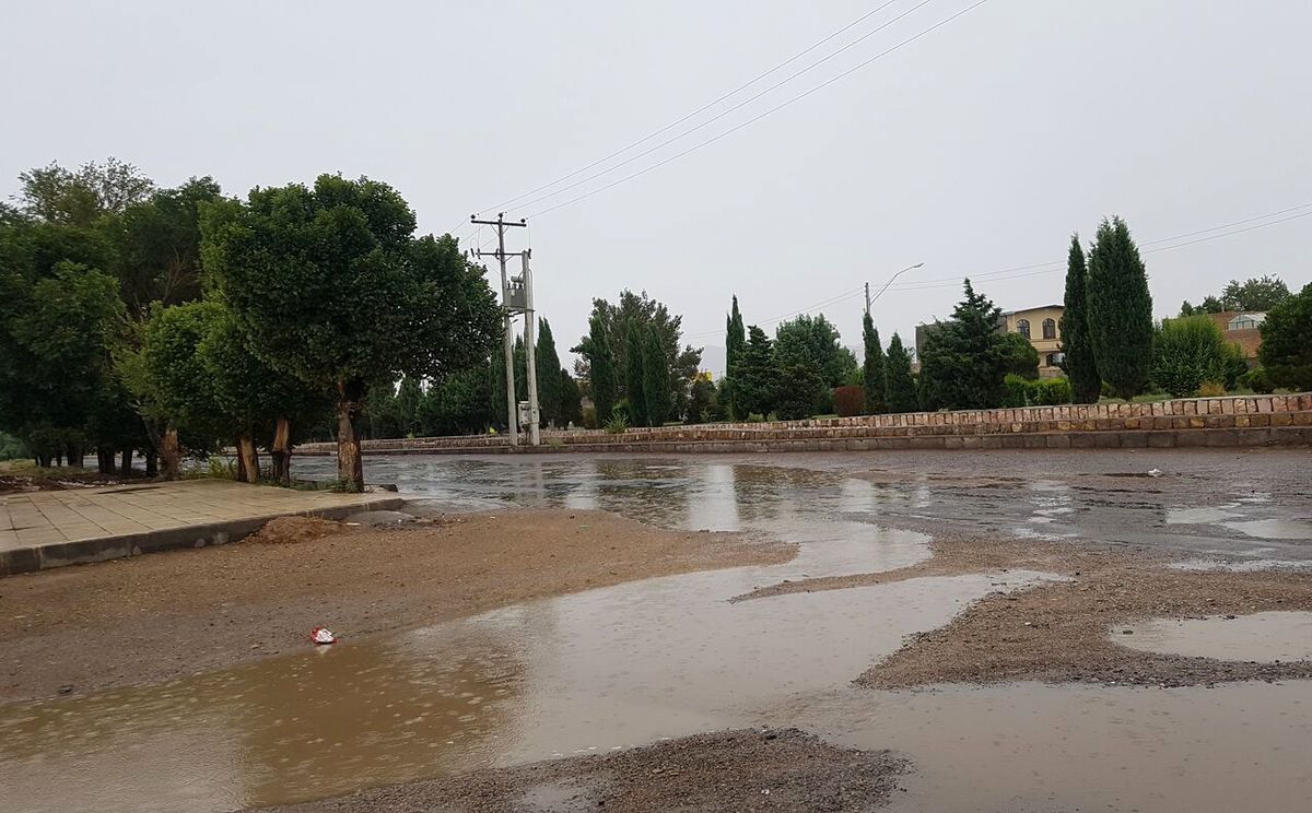 بارش باران برخی پل‌ ها و جاده‌ های شهرستان بردسیر کرمان را تخریب کرد