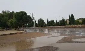 بارش باران برخی پل‌ ها و جاده‌ های شهرستان بردسیر کرمان را تخریب کرد