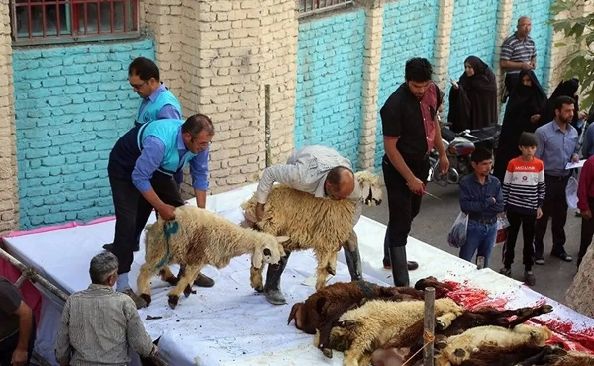 کشتار دام در معابر شهری ممنوع است