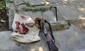 شکارچیان بز کوهی در الشتر دستگیر شدند