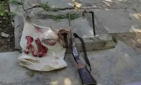 شکارچیان بز کوهی در الشتر دستگیر شدند
