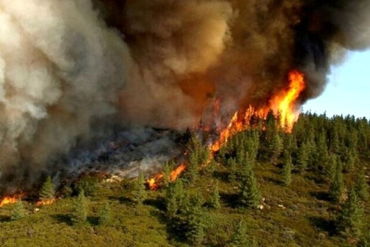 پارک ملی ساریگل در اسفراین آتش گرفت