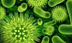 اینترنت از میکروب هم بدست می‌آید!