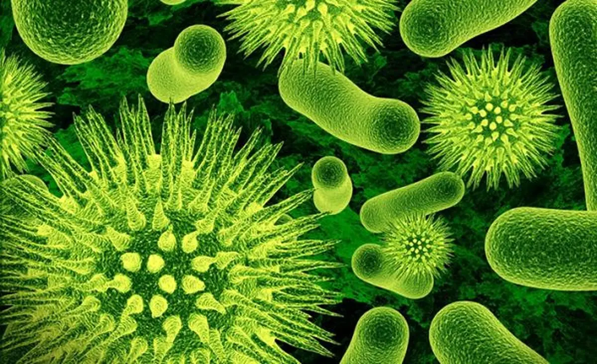 اینترنت از میکروب هم بدست می‌آید!