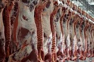 عرضه گوشت قرمز در کشتارگاه‌های رسمی به ۵۱.۳ هزار تن رسید