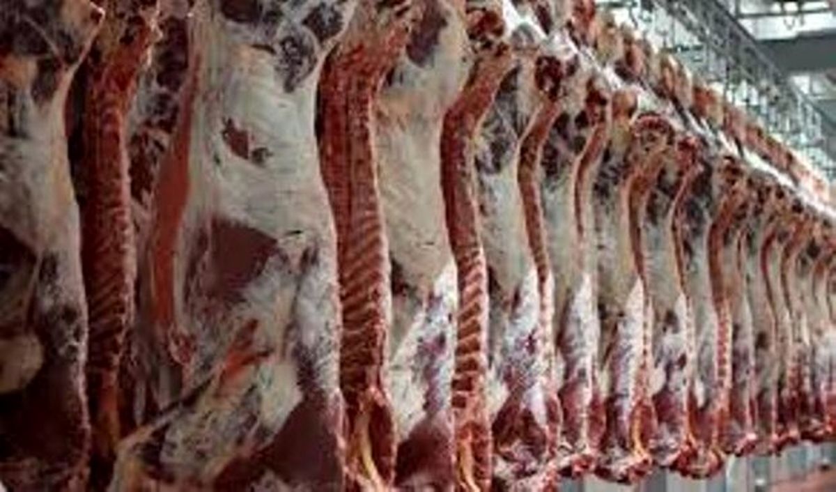 عرضه گوشت قرمز در کشتارگاه‌های رسمی به ۵۱.۳ هزار تن رسید