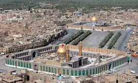 سفر ۳ نماینده مجلس به کربلا در تعطیلات کرونایی با پرواز اختصاصی