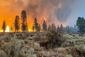 بزرگترین آتش سوزی 2000 سال گذشته در جنگل های آمریکا