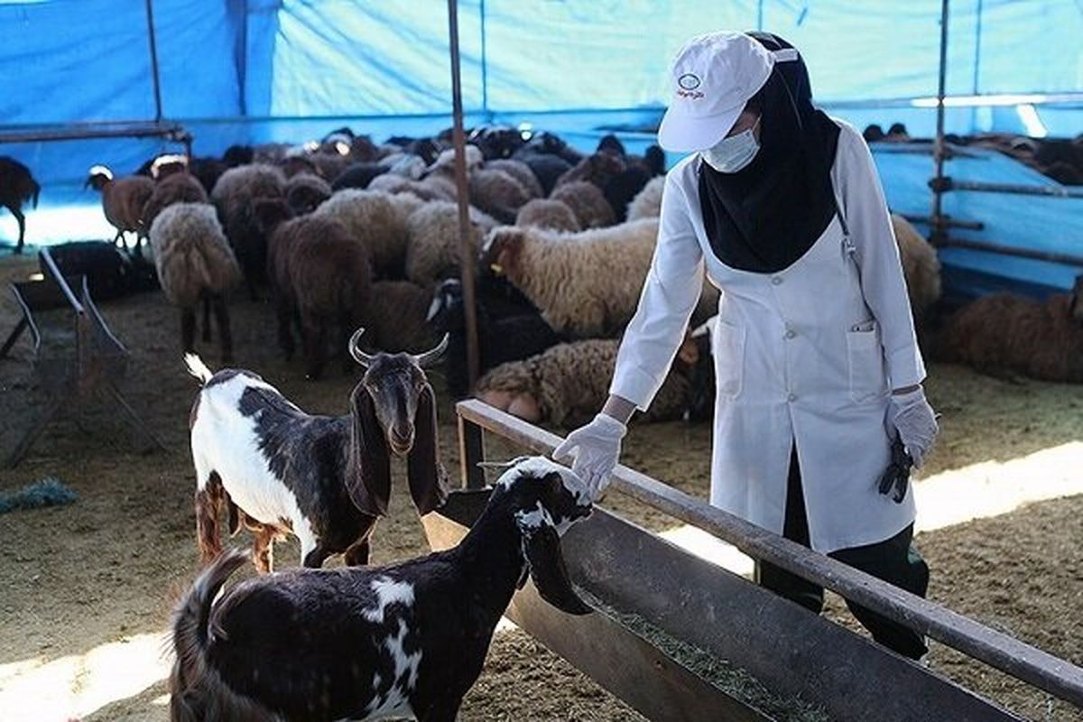 نشانی جایگاه های عرضه بهداشتی دام در ۱۵ مرکز تهران