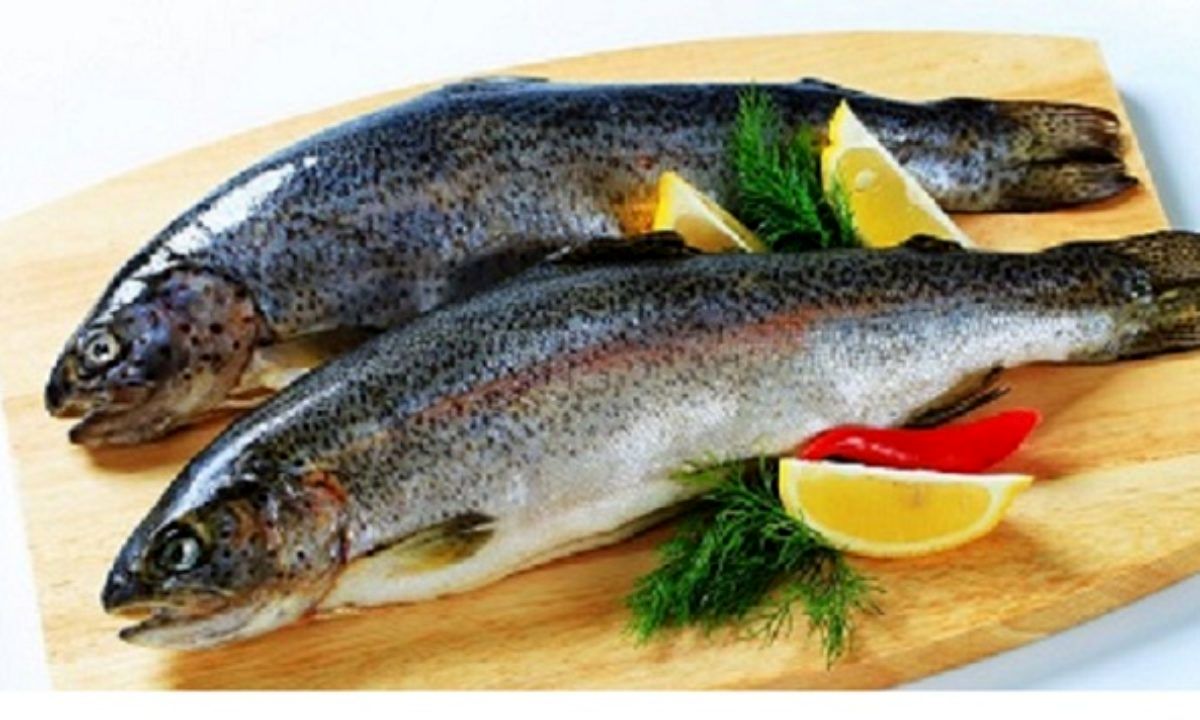 خواص فوق العاده ماهی قزل آلا برای سلامتی