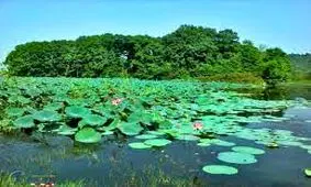 ثبت اسناد تالاب ها به اسم وزارت نیرو، غیر قانونی است