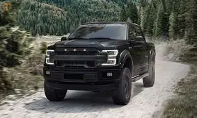 آپشنی جالب در ماشین فورد/ ویدئو