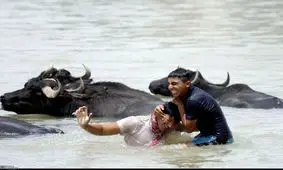 جریان آب در رگهای دشت آزادگان/ به روایت تصاویر