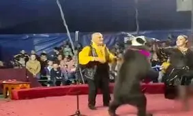 لحظه وحشتناک حمله خرس به مربی سیرک/ ویدئو
