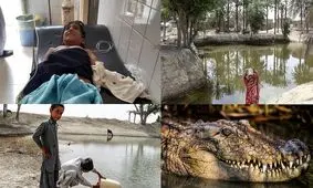 سیستان و بلوچستان همچنان درگیر مشکلات/ باز نوبت به گاندوها رسید