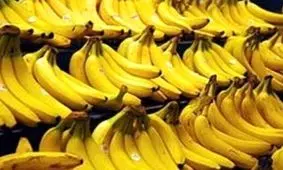 درخواست گمرک ایران از وزارت جهاد کشاوردی؛ تکلیف واردات موز را فورا مشخص کنید