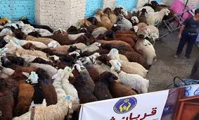 ذبح ۷۳۸ راس گوسفند توسط کمیته امداد خراسان شمالی در روز عید قربان