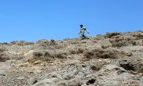 خروج حیات‌وحش اصفهان از مناطق حفاظت‌شده