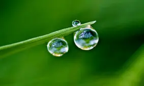 دانستنی‌های عجیب و خواندنی در مورد آب