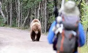 حمله خرس وحشی به دو مرد کوهرنگی