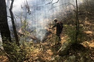 مهار آتش در جنگل های گالیکش