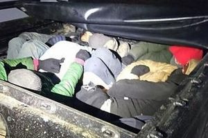 کشف باند قاچاق انسان به اروپا/ جاسازی ۱۵ مهاجر در صندوق عقب خودرو