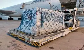 نهمین محموله واکسن کرونا وارد کشور شد