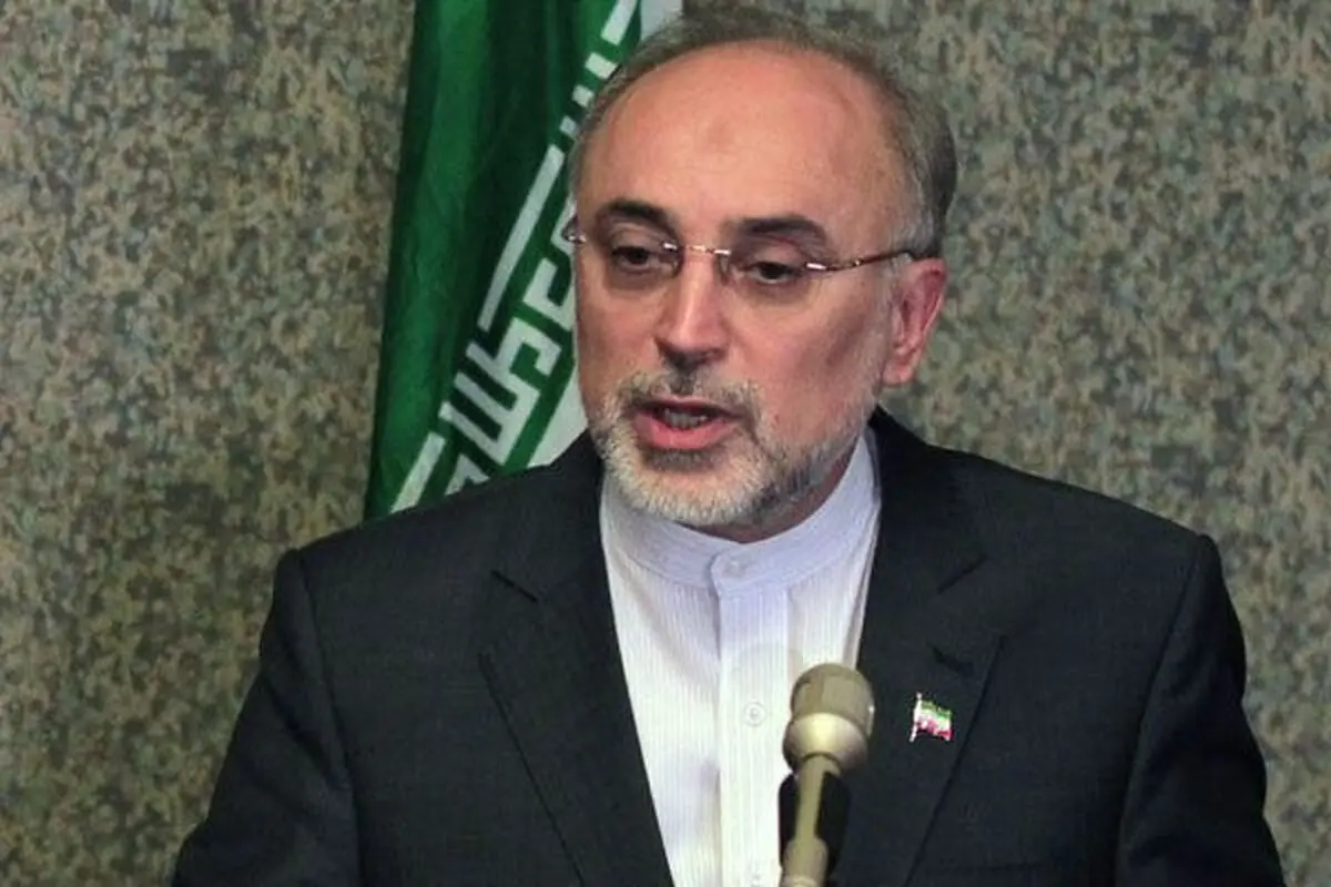 علی اکبر صالحی: بهمن علمی در کشور در حال شکل گیری است