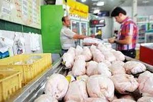 برخورد با متولیان مسامحه کننده در نظارت بر توزیع وافزایش قیمت مرغ
