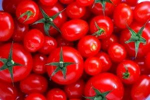 علت افزایش قیمت گوجه فرنگی