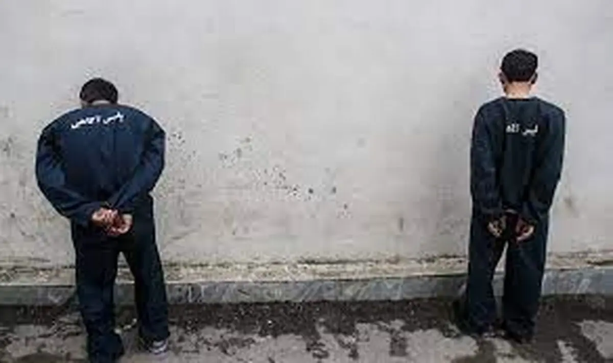 کشف میلیاردی سرقت منزل در ملایر